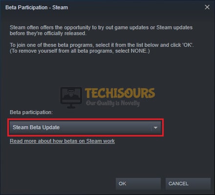Choose Steam Beta Update