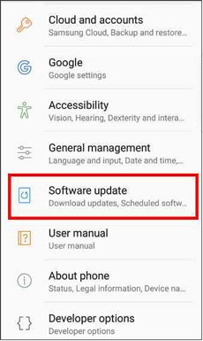 Choose Software Update option