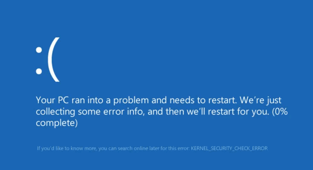 kernel security check failure error
